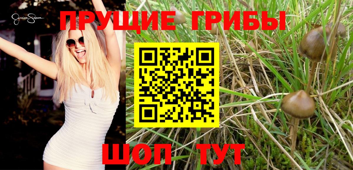 Галлюциногенные грибы прущие грибы Черногорск