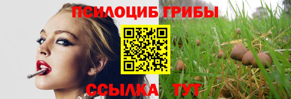 Псилоцибиновые грибы мухоморы  Псилоцибиновые грибы ЛСД  Вход с VPN  Черногорск 